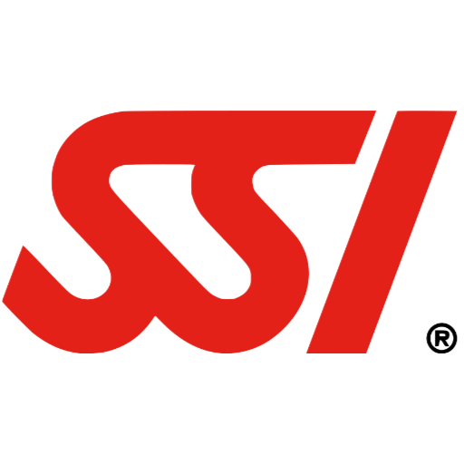 SSI-Logo